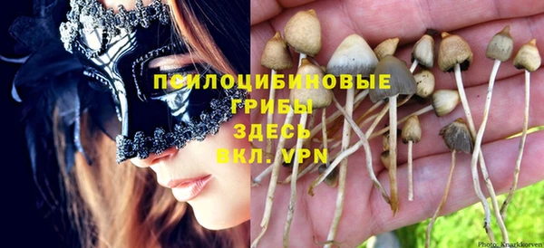 Альфа ПВП Алзамай