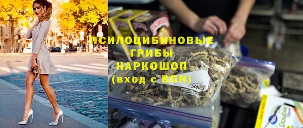 Альфа ПВП Алзамай