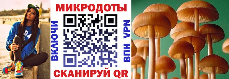 Псилоцибиновые грибы мухоморы  сколько стоит  Боготол 