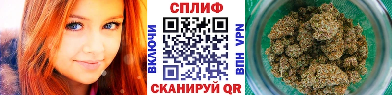 Конопля гибрид  наркотики  Боготол 
